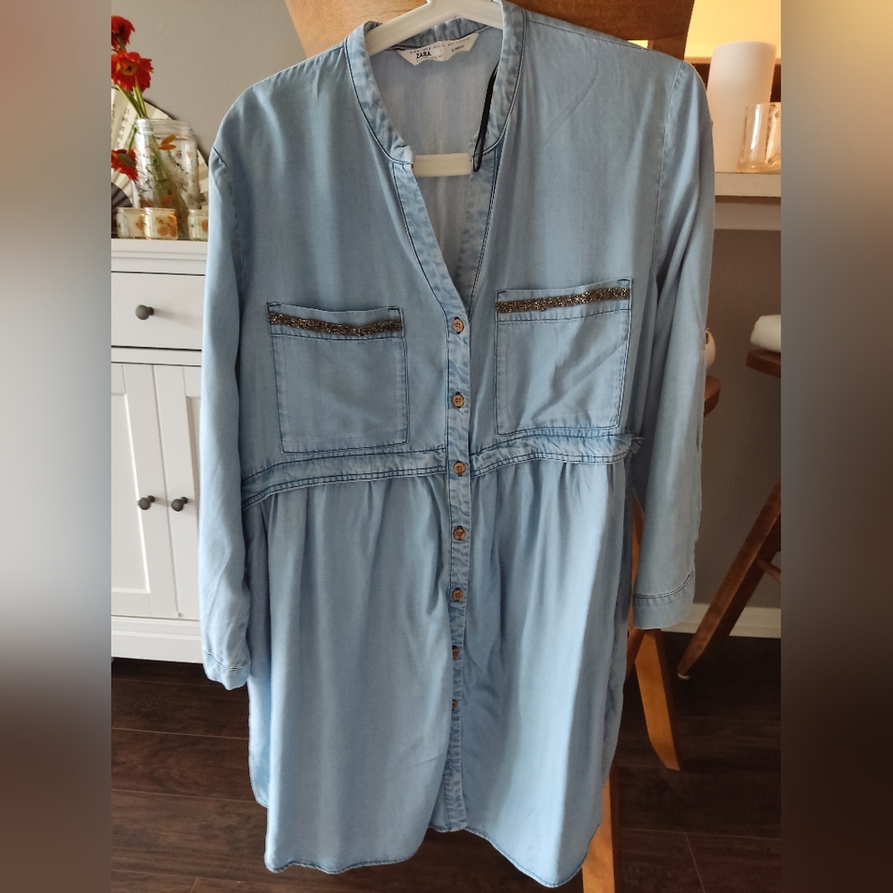 Zara dress